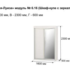 Шкаф-купе 1600 с зеркалом "Мария-Луиза 6.16" | фото 3