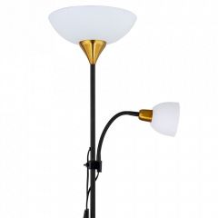 Торшер с подсветкой Arte Lamp Duetto A9569PN-2BK | фото 2